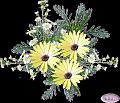 fleurs et nature (63)